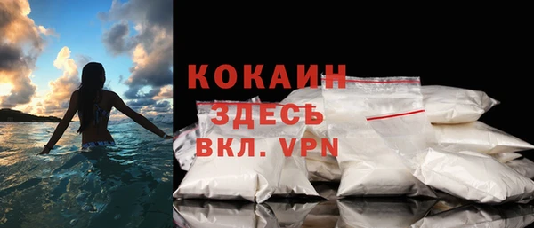 прущие грибы Дмитровск