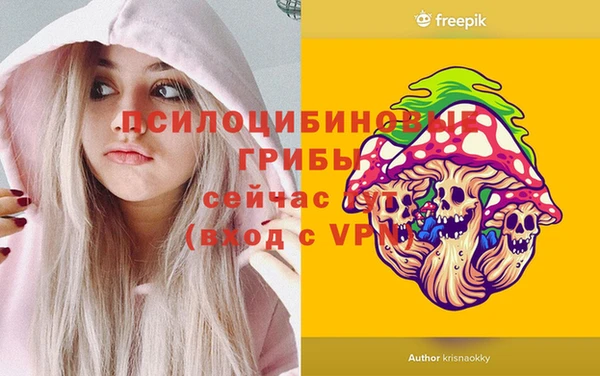 винт Абинск