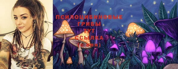 прущая мука Дмитров